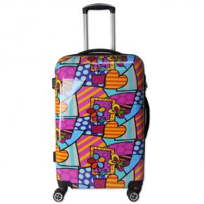 Customized Pattern Printing Luggage Set