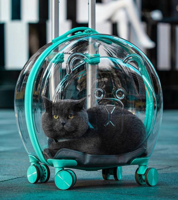ROYO PET Rolling Pet Carrier on wheels